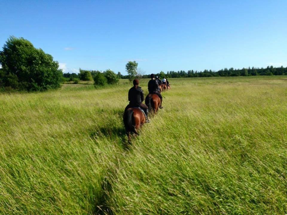 派尔努县 Sassi Talu Horsefarm酒店 外观 照片